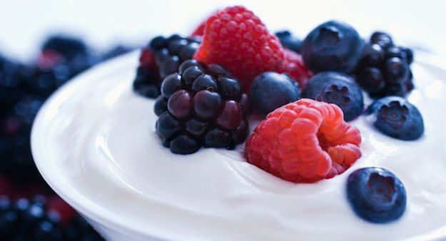 yogurt contains probiotics