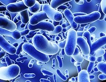 Matching The Perfect Probiotic Strain To YOUR Specific Ailment