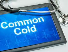 Can Probiotics Help Prevent The Common Cold?